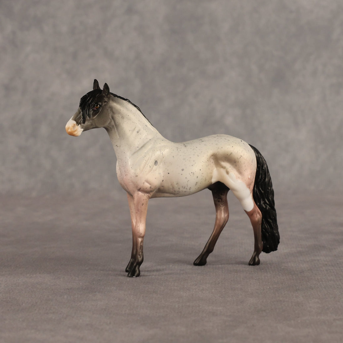 Father Rabbit OOAK Chip Andalusian by Alex Fortman EQ26