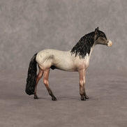 Father Rabbit OOAK Chip Andalusian by Alex Fortman EQ26