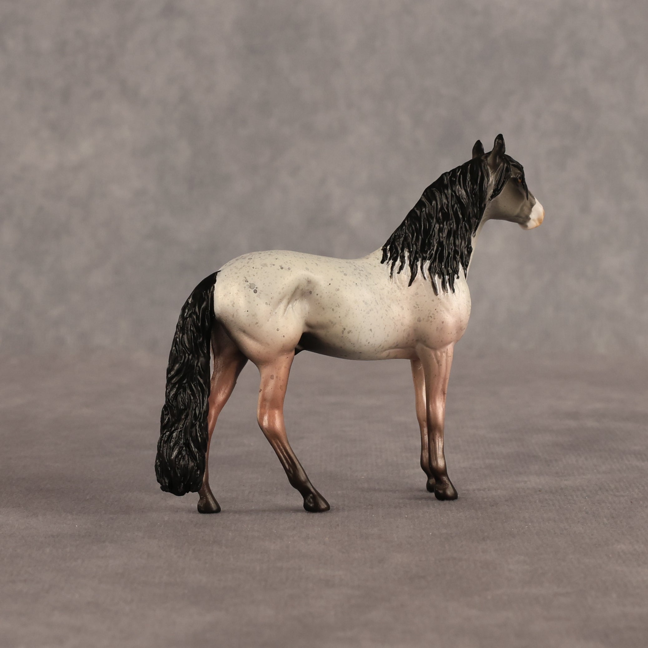Father Rabbit OOAK Chip Andalusian by Alex Fortman EQ26