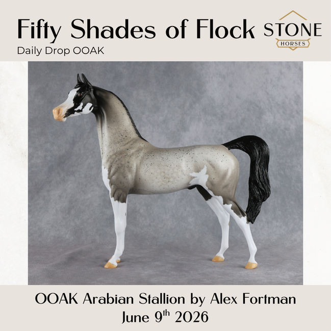 Fifty Shades of Flock OOAK Arabian Stallion by Alex Fortman DDOOAKs26