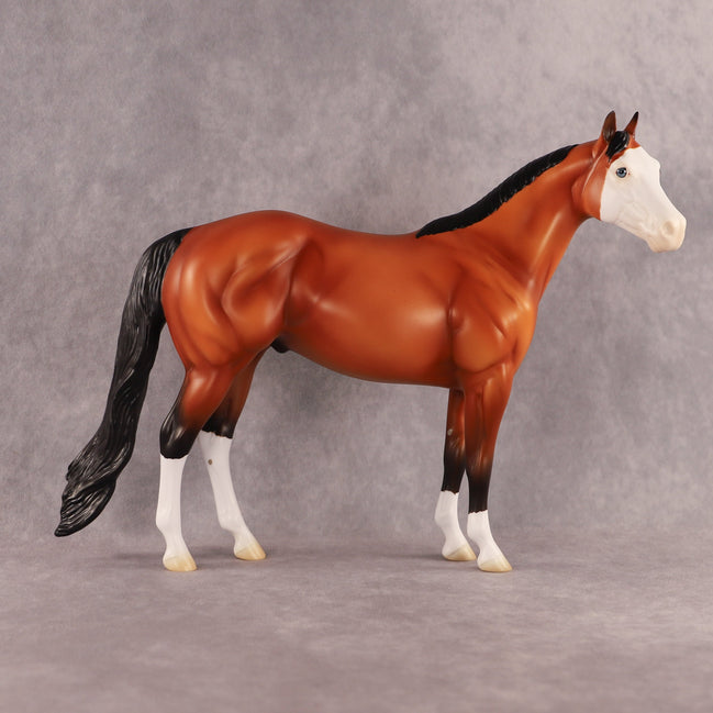 Fin OOAK Ideal Stock Horse by Madi Wiseman EQ26