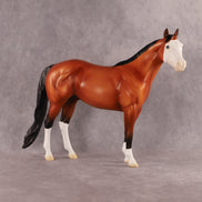 Fin OOAK Ideal Stock Horse by Madi Wiseman EQ26