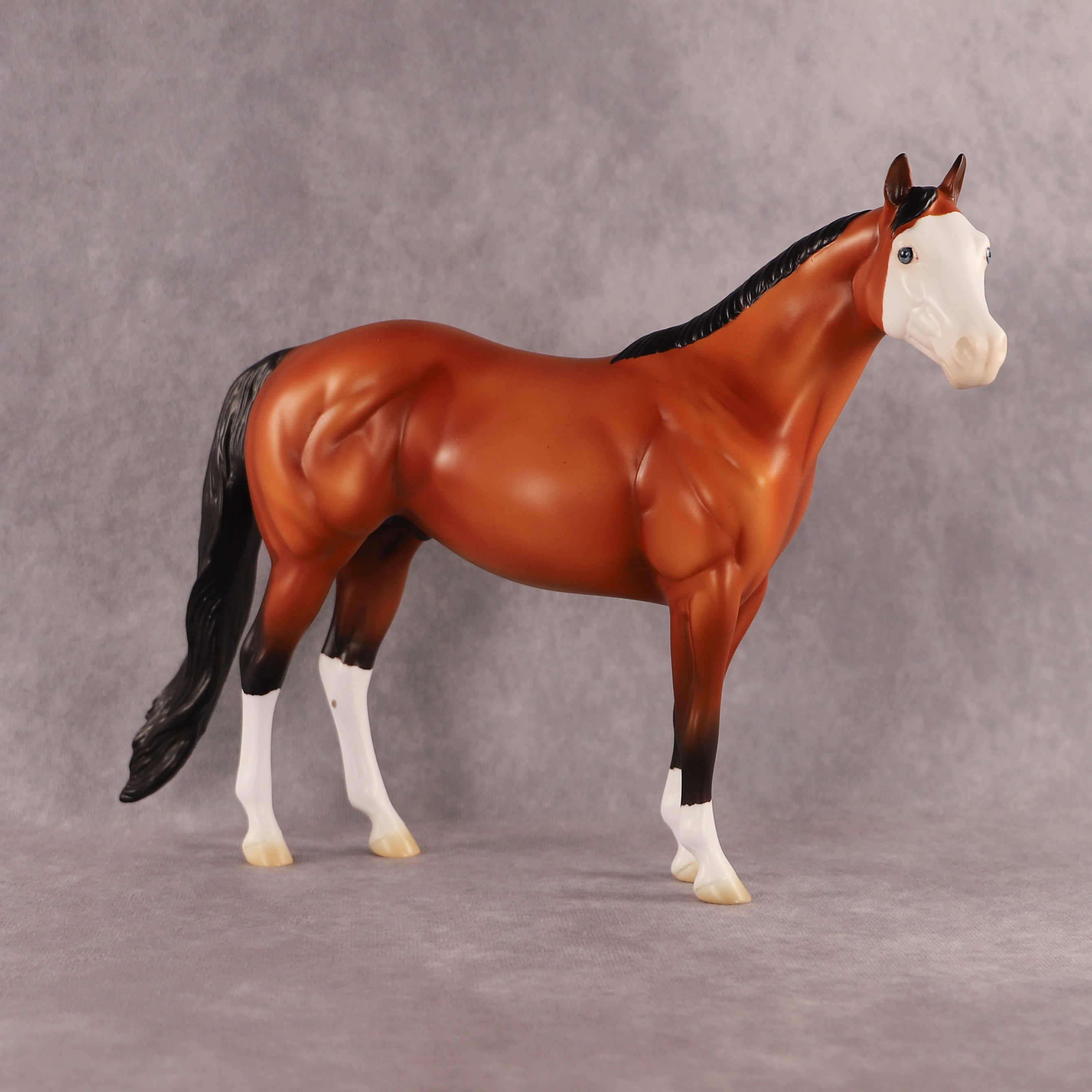 Fin OOAK Ideal Stock Horse by Madi Wiseman EQ26