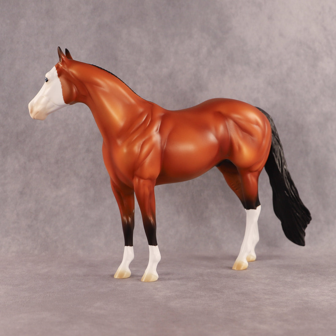 Fin OOAK Ideal Stock Horse by Madi Wiseman EQ26