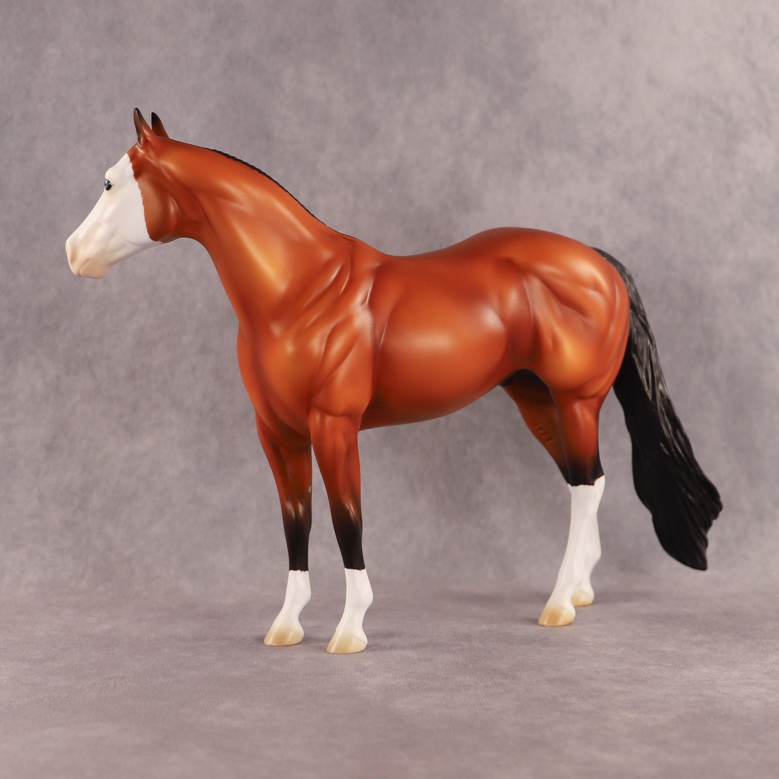 Fin OOAK Ideal Stock Horse by Madi Wiseman EQ26
