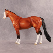 Fin OOAK Ideal Stock Horse by Madi Wiseman EQ26