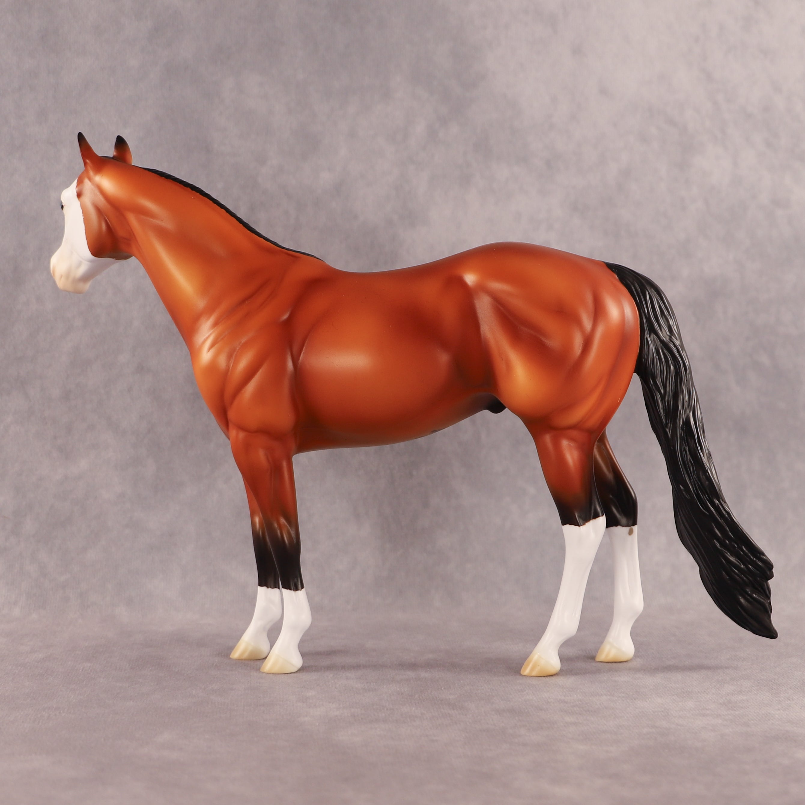 Fin OOAK Ideal Stock Horse by Madi Wiseman EQ26