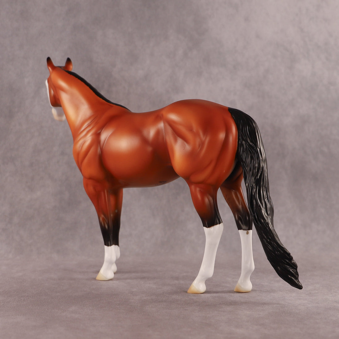 Fin OOAK Ideal Stock Horse by Madi Wiseman EQ26