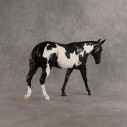 Finch OOAK FCM Large Mule by Madi Wiseman DDOOAKs26