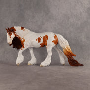 Preview: Finn LE-15 FCM Irish Cob by Madi Wiseman MM26
