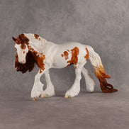 Preview: Finn LE-15 FCM Irish Cob by Madi Wiseman MM26