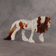 Preview: Finn LE-15 FCM Irish Cob by Madi Wiseman MM26