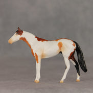 First Dance OOAK Chip Thoroughbred  by Anna Rieck VV26