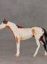First Dance OOAK Chip Thoroughbred  by Anna Rieck VV26