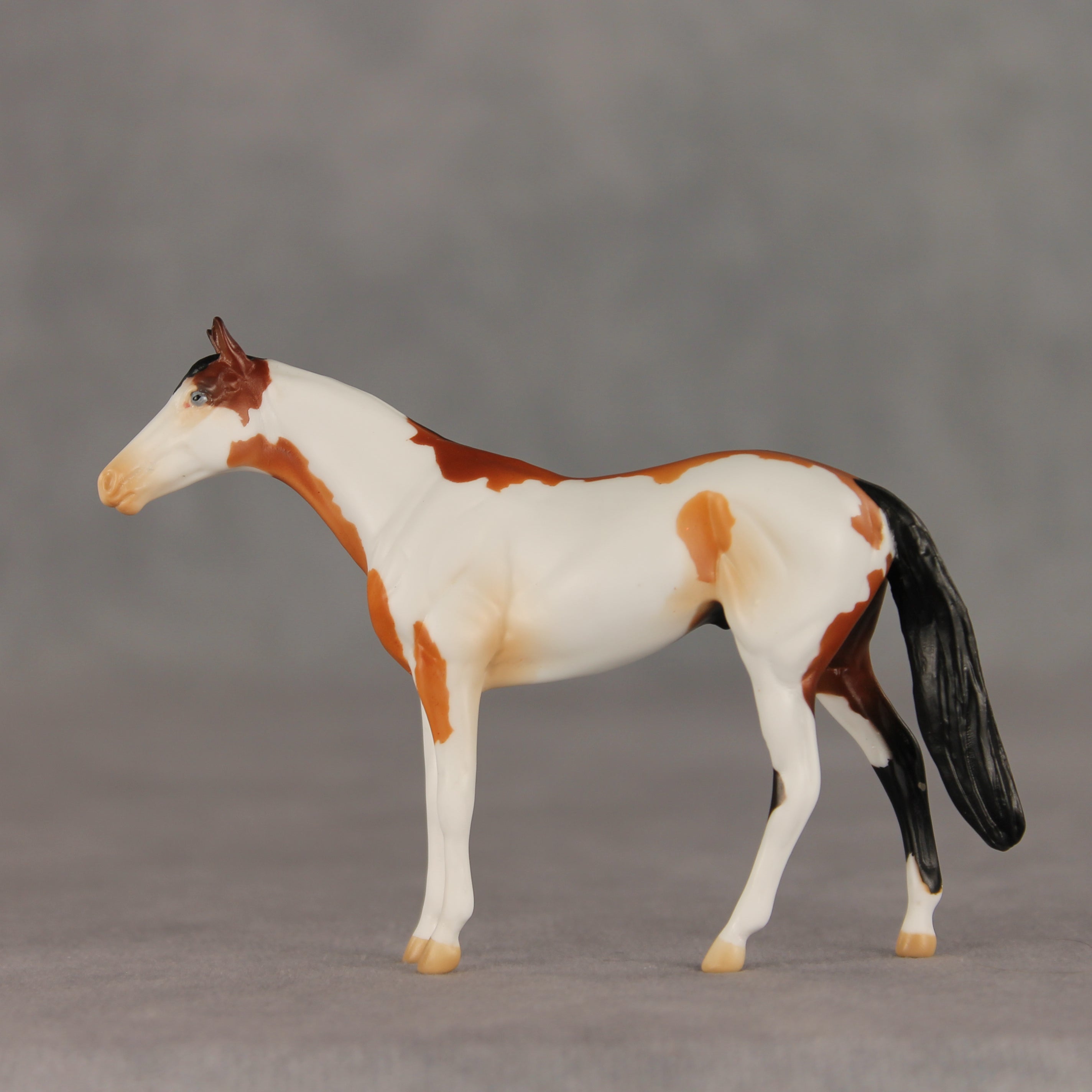 First Dance OOAK Chip Thoroughbred  by Anna Rieck VV26