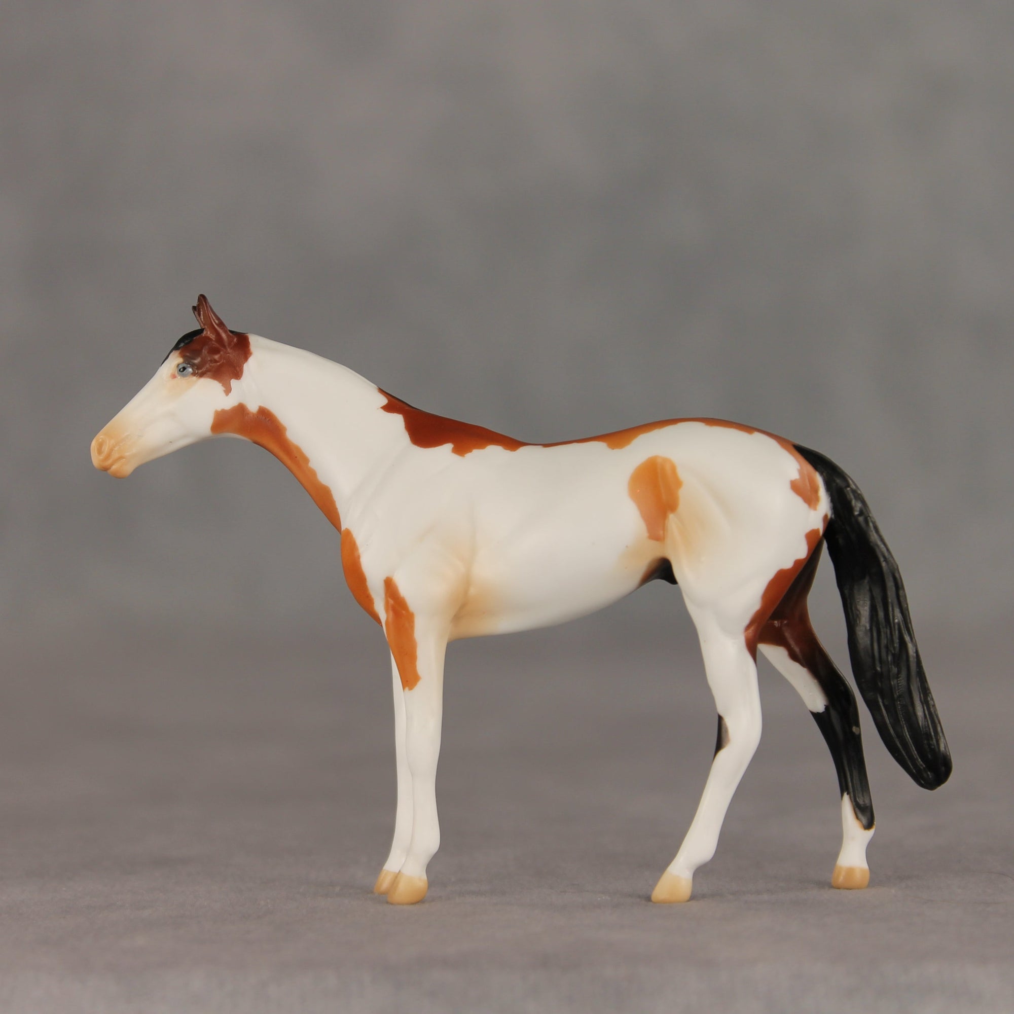 First Dance OOAK Chip Thoroughbred  by Anna Rieck VV26