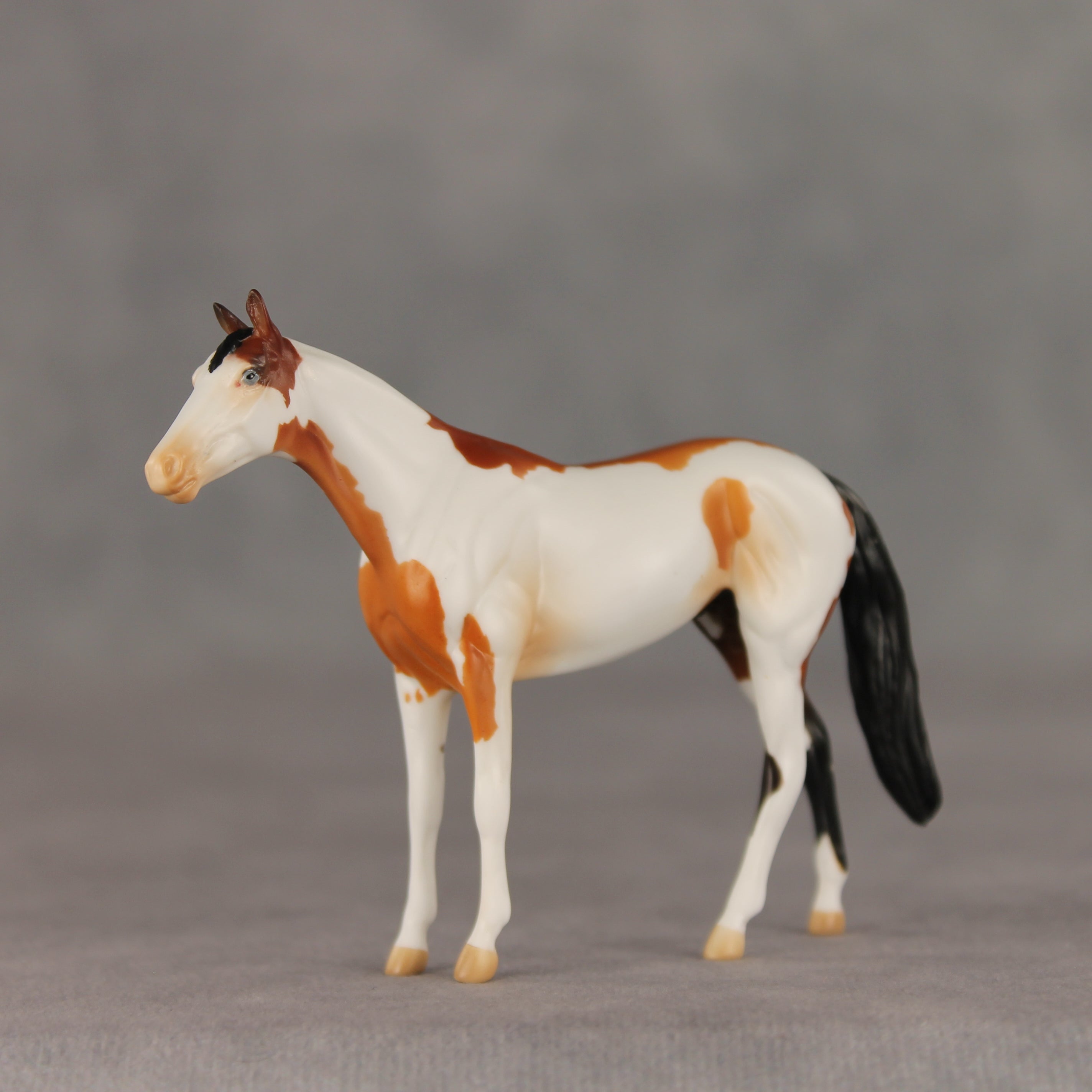 First Dance OOAK Chip Thoroughbred  by Anna Rieck VV26
