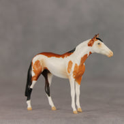 First Dance OOAK Chip Thoroughbred  by Anna Rieck VV26