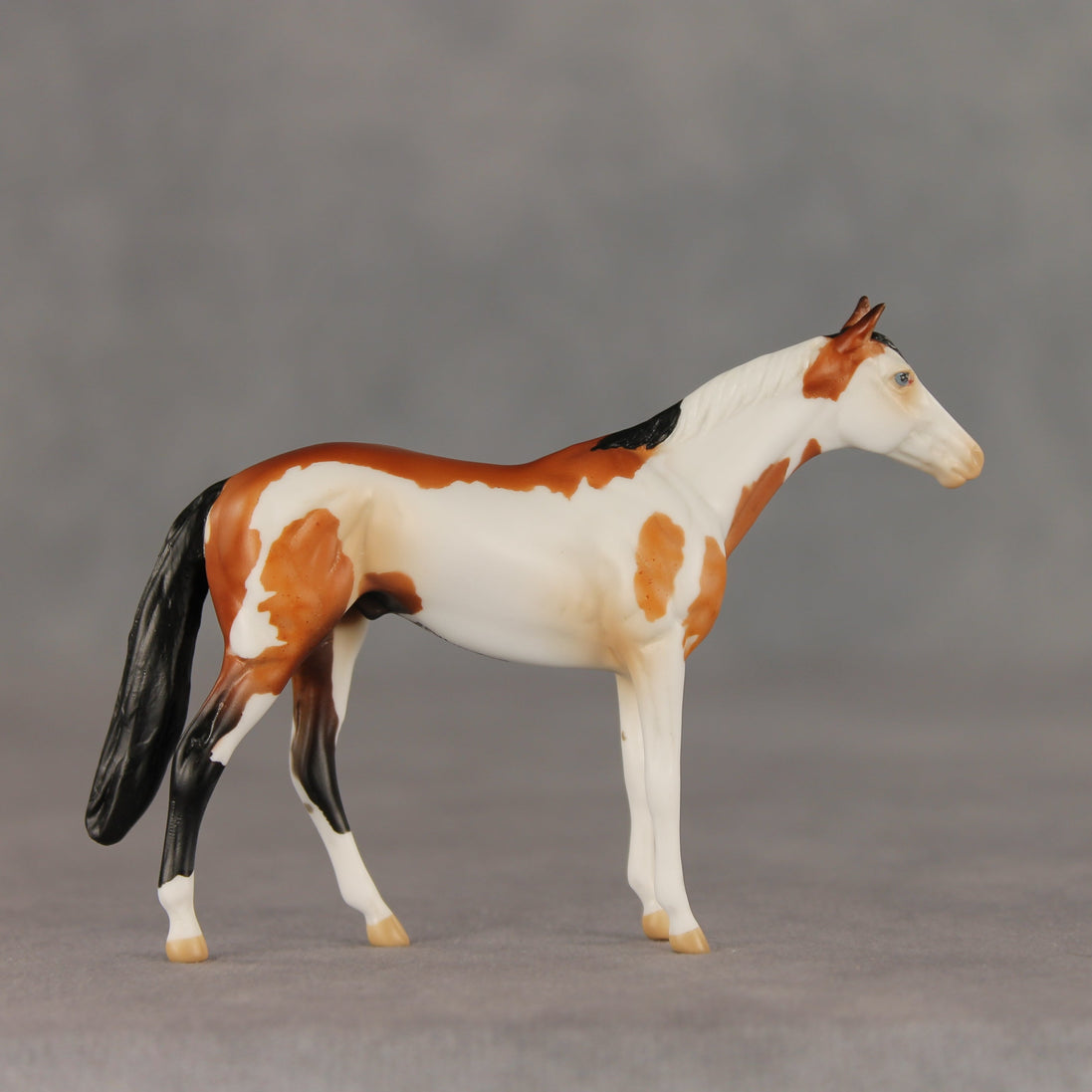 First Dance OOAK Chip Thoroughbred  by Anna Rieck VV26