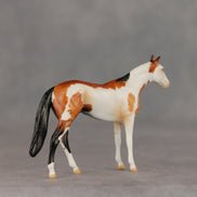 First Dance OOAK Chip Thoroughbred  by Anna Rieck VV26