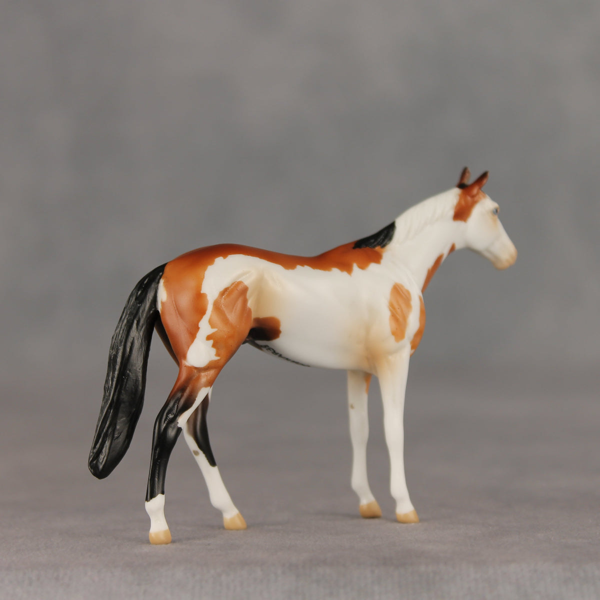 First Dance OOAK Chip Thoroughbred  by Anna Rieck VV26