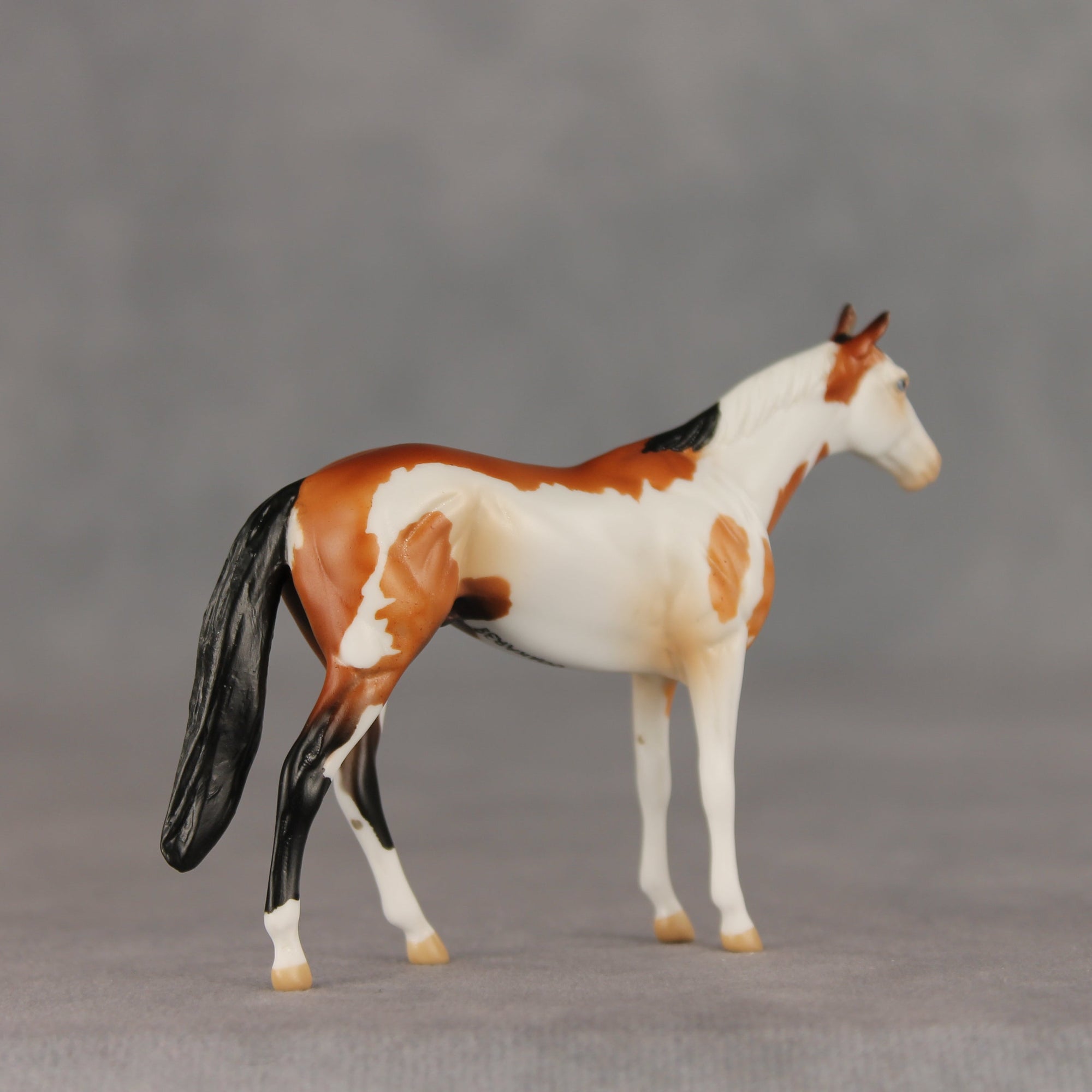 First Dance OOAK Chip Thoroughbred  by Anna Rieck VV26