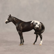 Five Hour Notice OOAK FCM Chip Stock Horse by Jess Hamill SHCF26