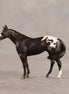 Five Hour Notice OOAK FCM Chip Stock Horse by Jess Hamill SHCF26