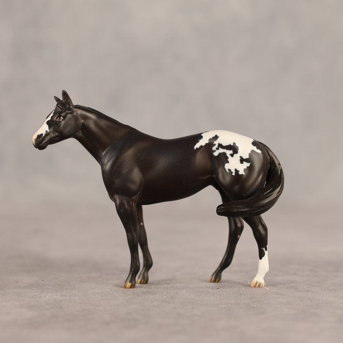 Five Hour Notice OOAK FCM Chip Stock Horse by Jess Hamill SHCF26