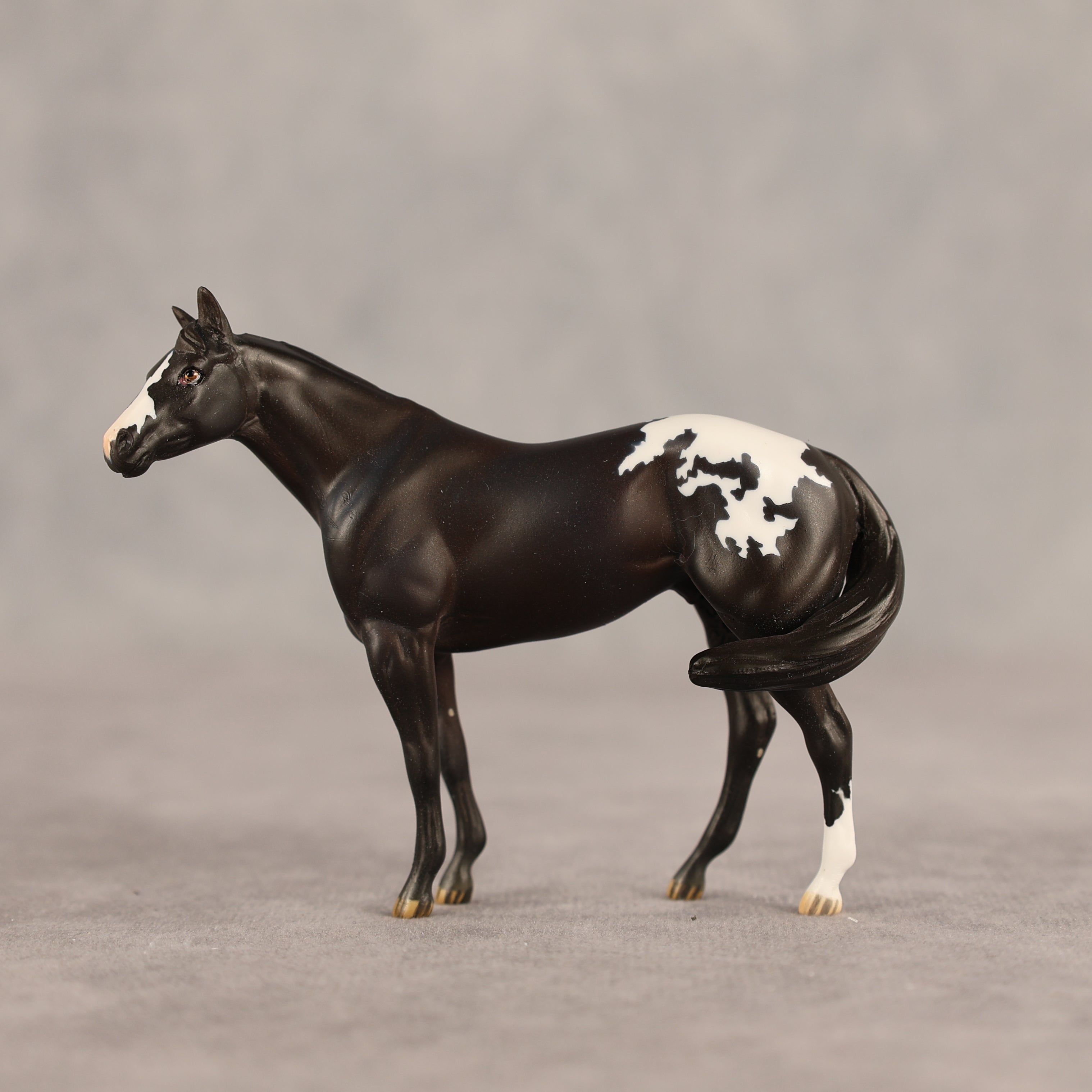 Five Hour Notice OOAK FCM Chip Stock Horse by Jess Hamill SHCF26