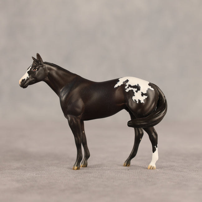 Five Hour Notice OOAK FCM Chip Stock Horse by Jess Hamill SHCF26
