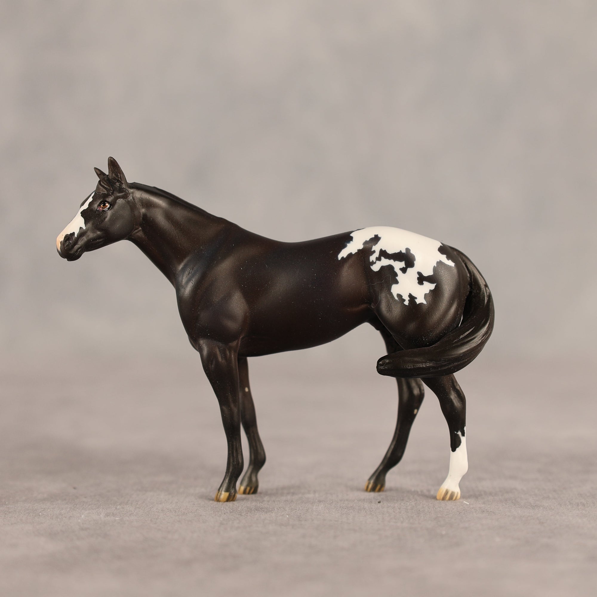 Five Hour Notice OOAK FCM Chip Stock Horse by Jess Hamill SHCF26