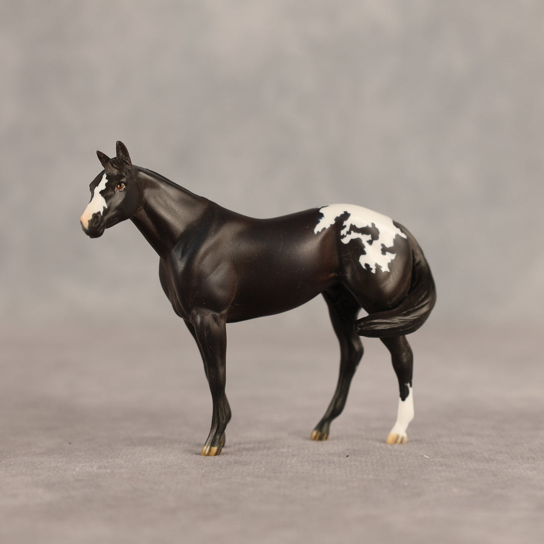 Five Hour Notice OOAK FCM Chip Stock Horse by Jess Hamill SHCF26