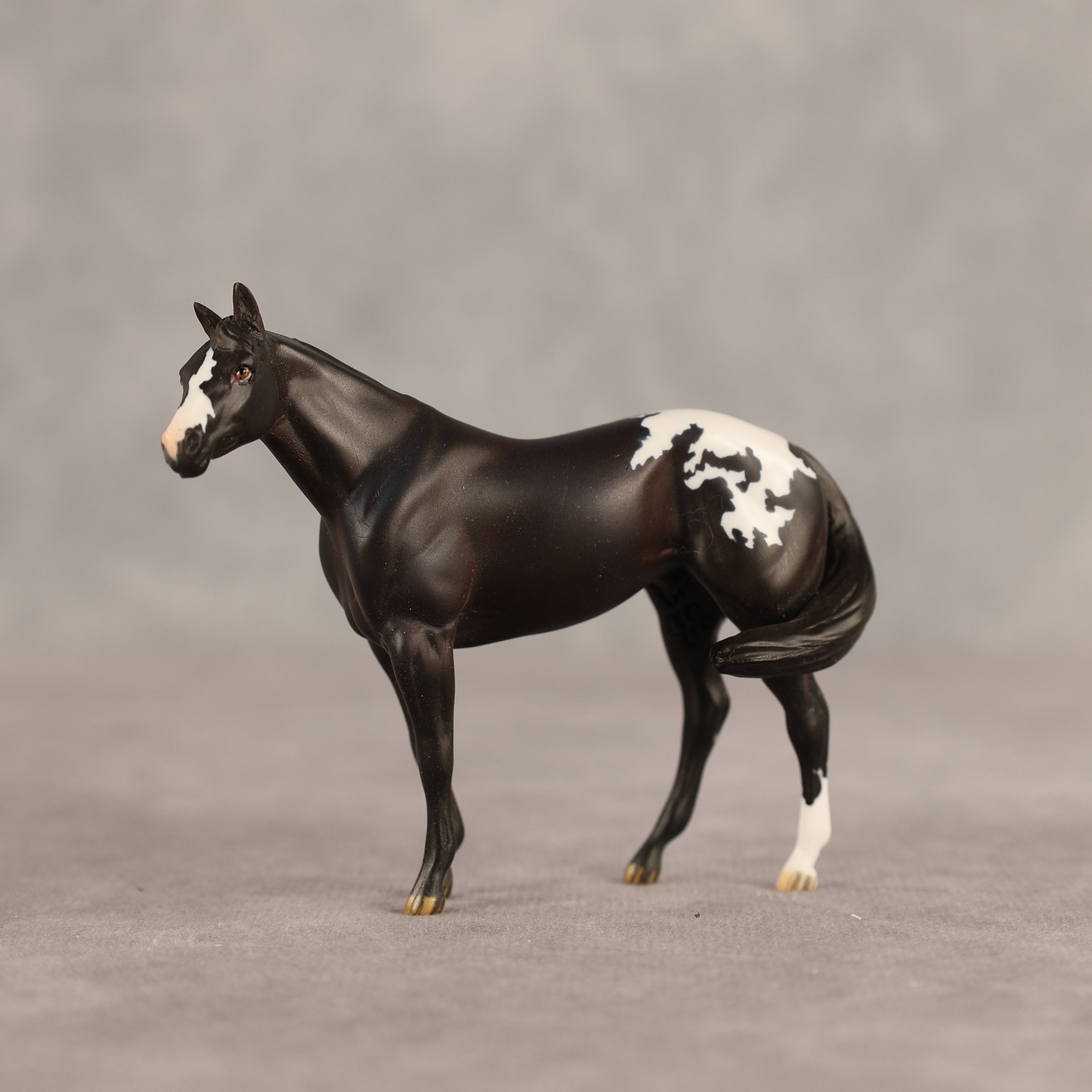 Five Hour Notice OOAK FCM Chip Stock Horse by Jess Hamill SHCF26