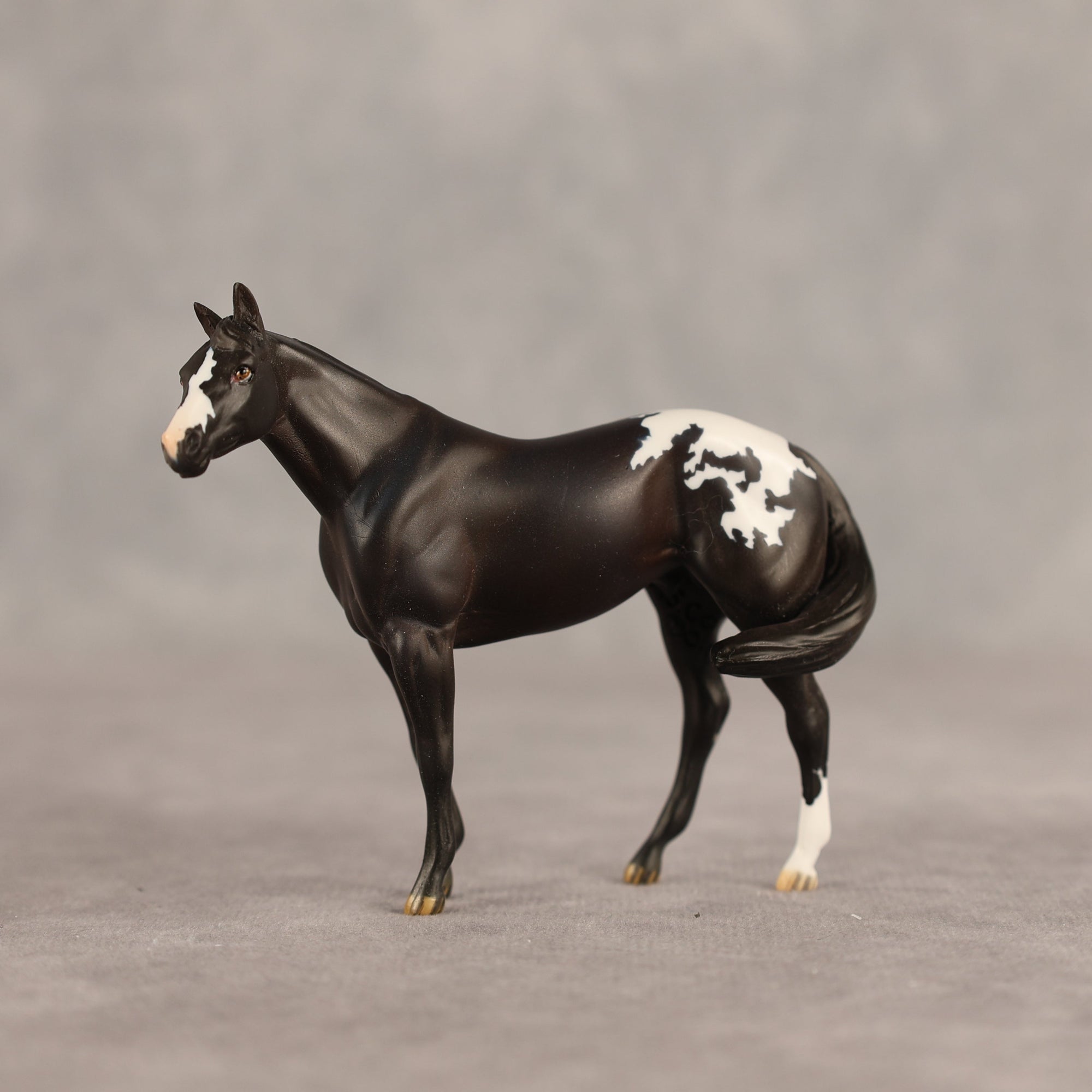 Five Hour Notice OOAK FCM Chip Stock Horse by Jess Hamill SHCF26