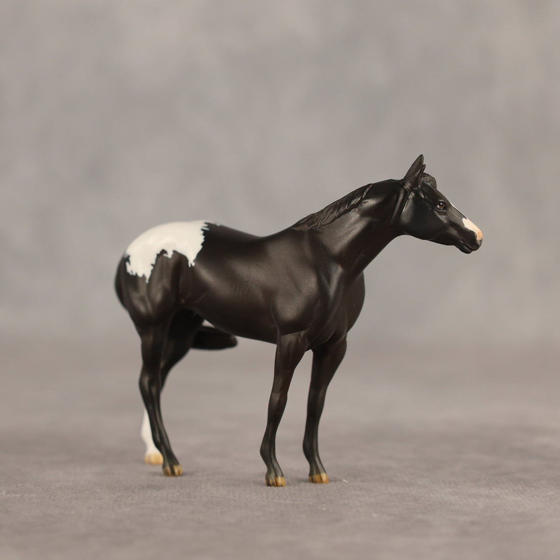 Five Hour Notice OOAK FCM Chip Stock Horse by Jess Hamill SHCF26
