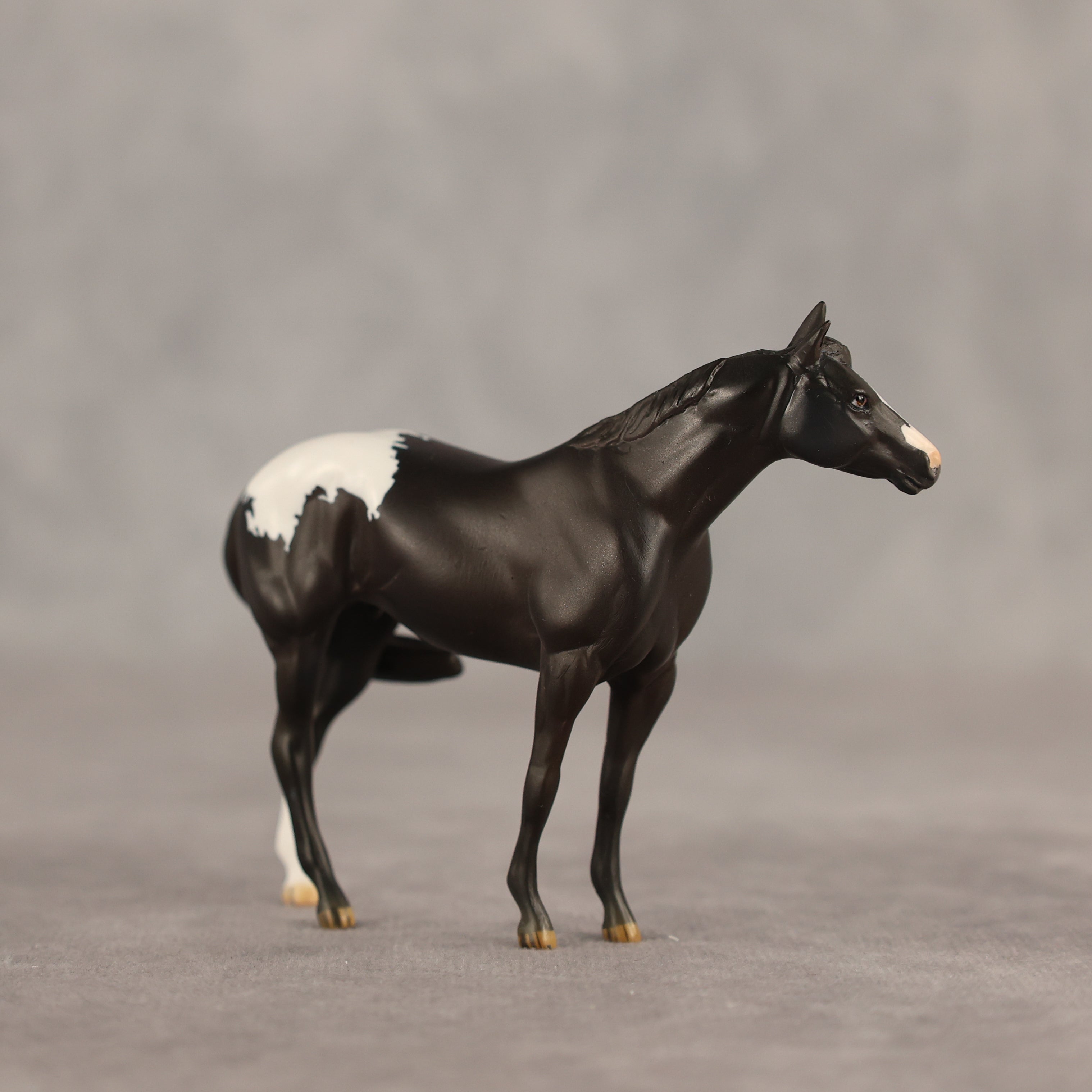 Five Hour Notice OOAK FCM Chip Stock Horse by Jess Hamill SHCF26