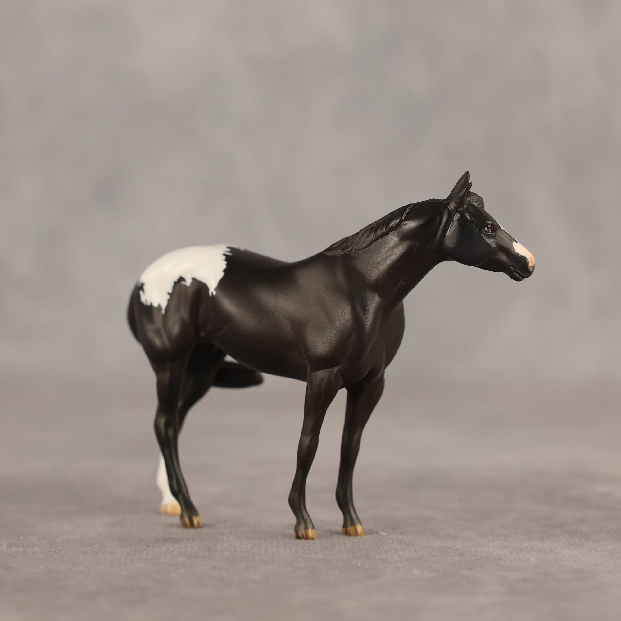 Five Hour Notice OOAK FCM Chip Stock Horse by Jess Hamill SHCF26