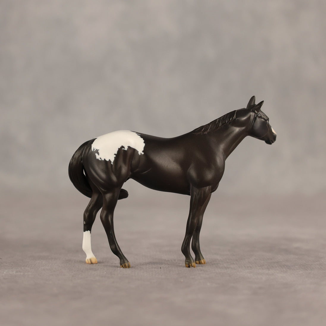 Five Hour Notice OOAK FCM Chip Stock Horse by Jess Hamill SHCF26