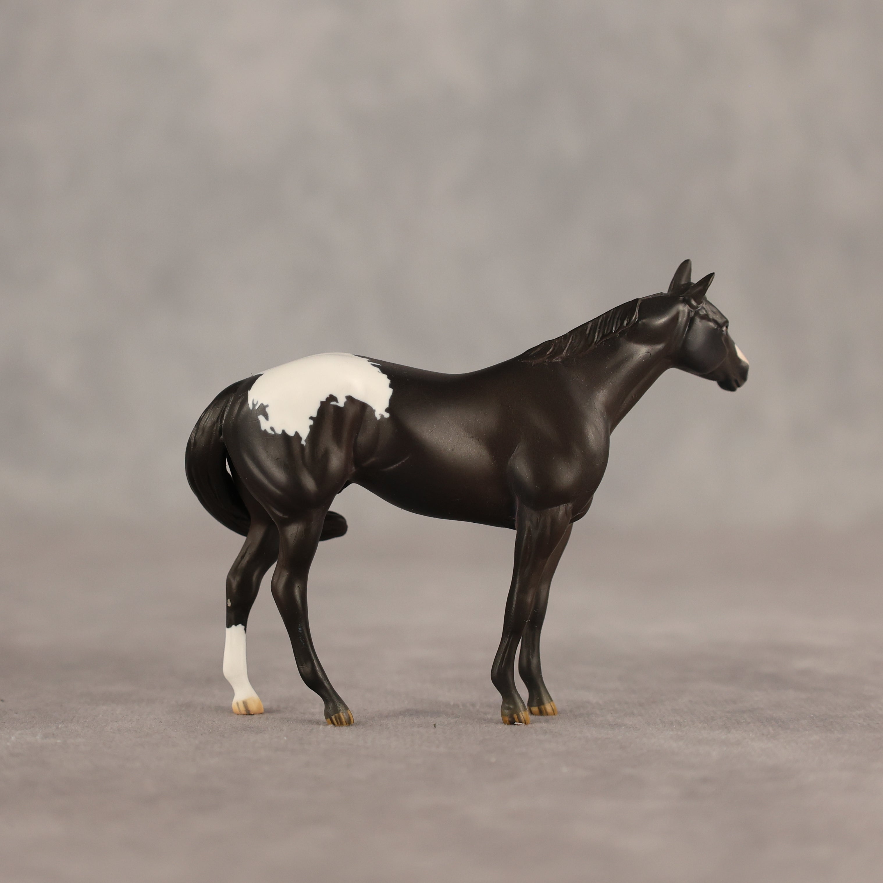 Five Hour Notice OOAK FCM Chip Stock Horse by Jess Hamill SHCF26