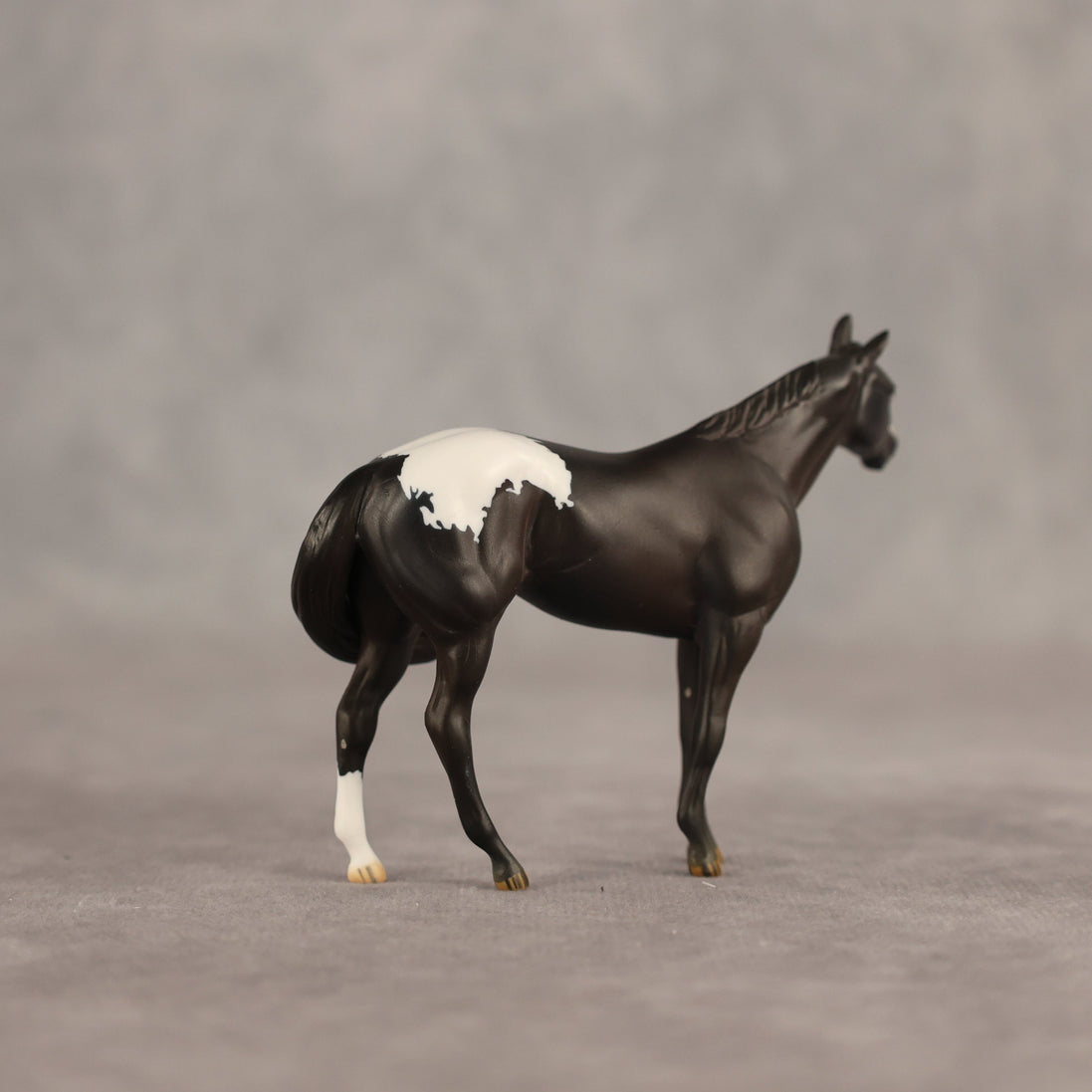 Five Hour Notice OOAK FCM Chip Stock Horse by Jess Hamill SHCF26