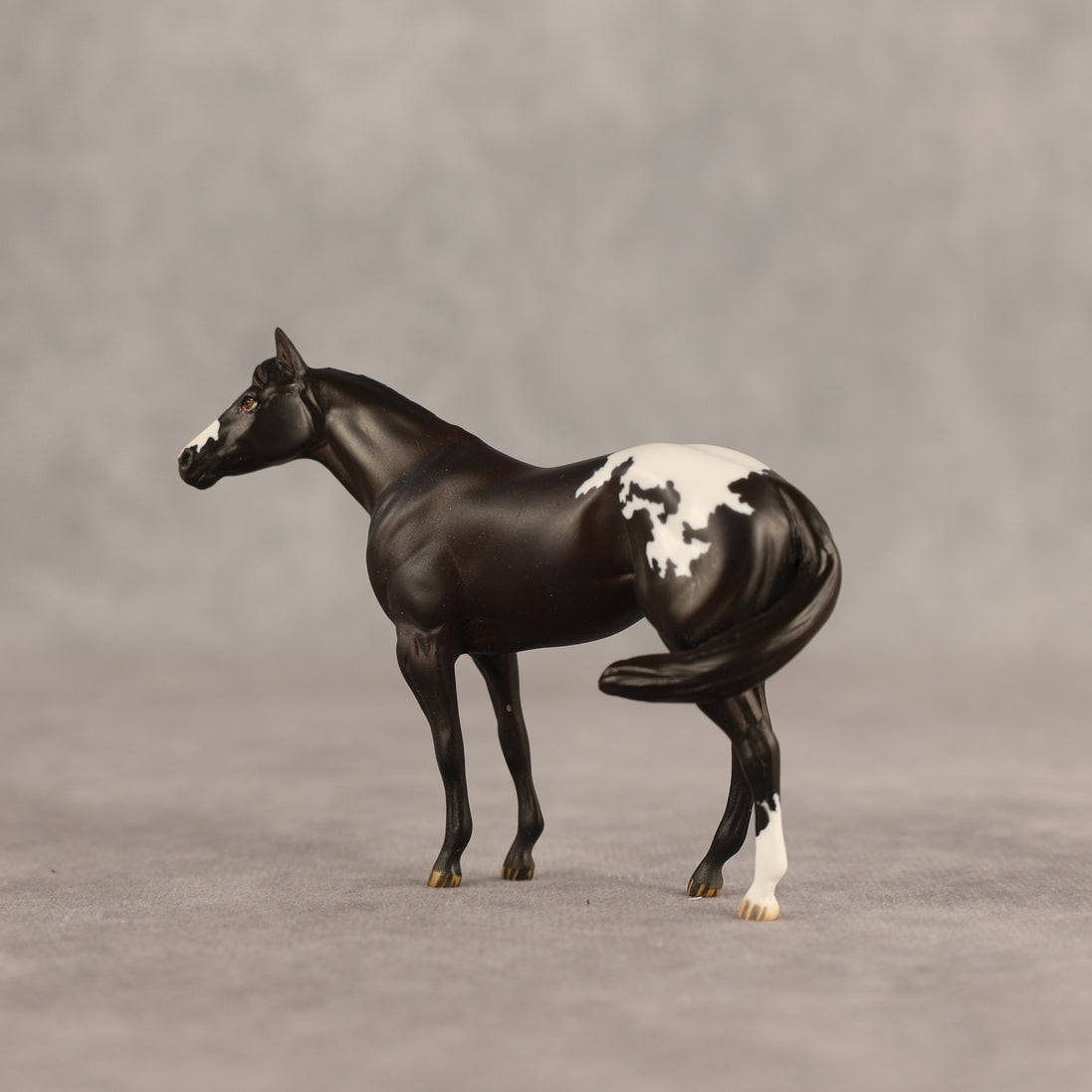 Five Hour Notice OOAK FCM Chip Stock Horse by Jess Hamill SHCF26