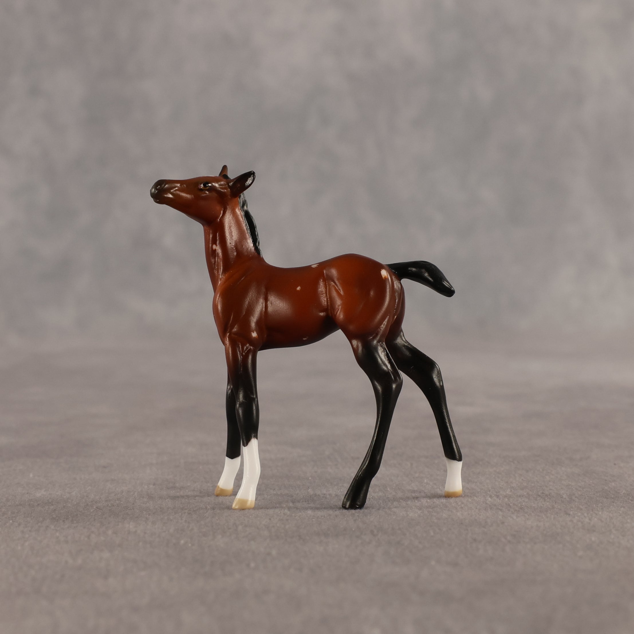 Flurry & Flake OOAK Chip FCM Stock Horse & Chip Foal by Anna Rieck SCD26