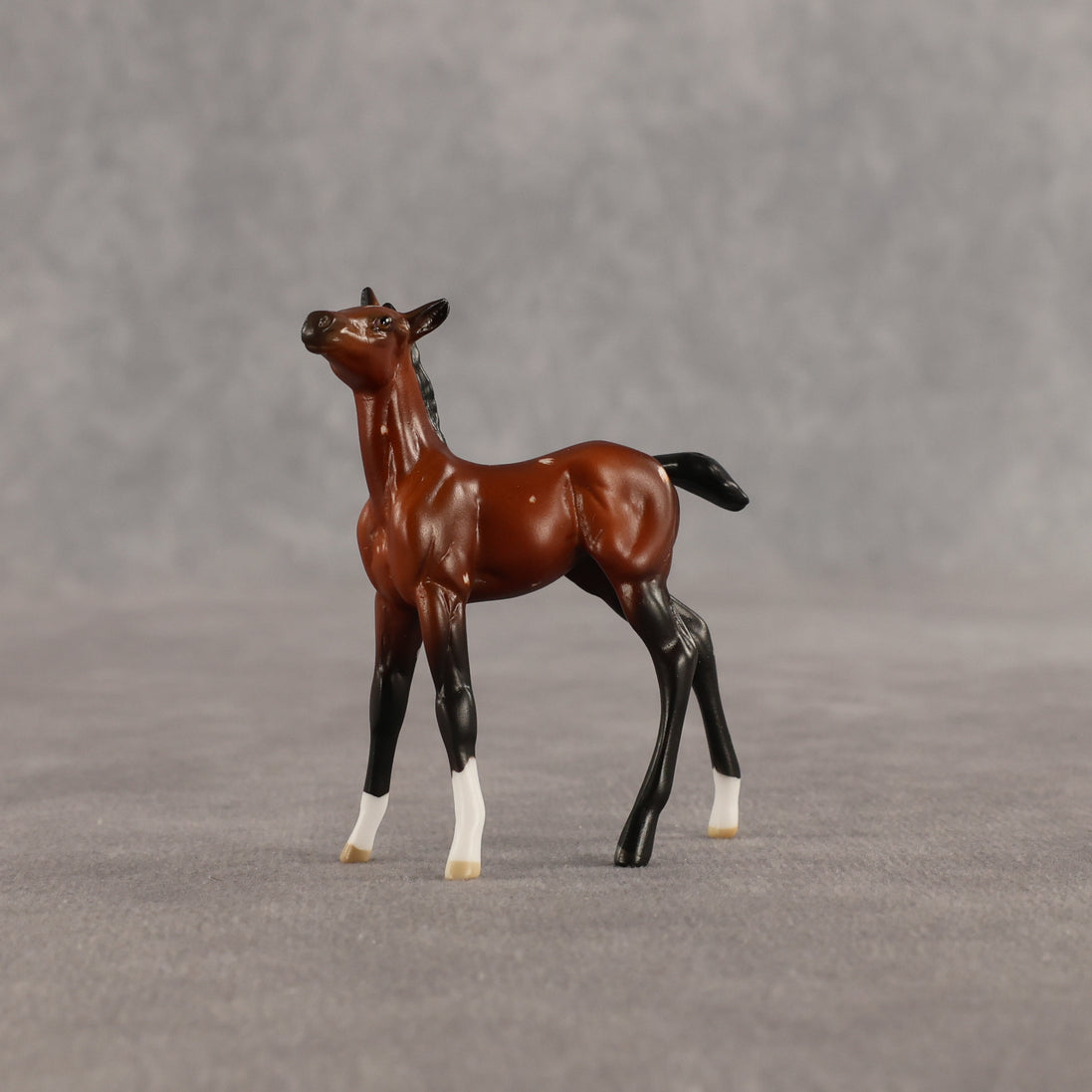 Flurry & Flake OOAK Chip FCM Stock Horse & Chip Foal by Anna Rieck SCD26