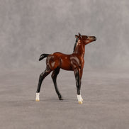 Flurry & Flake OOAK Chip FCM Stock Horse & Chip Foal by Anna Rieck SCD26