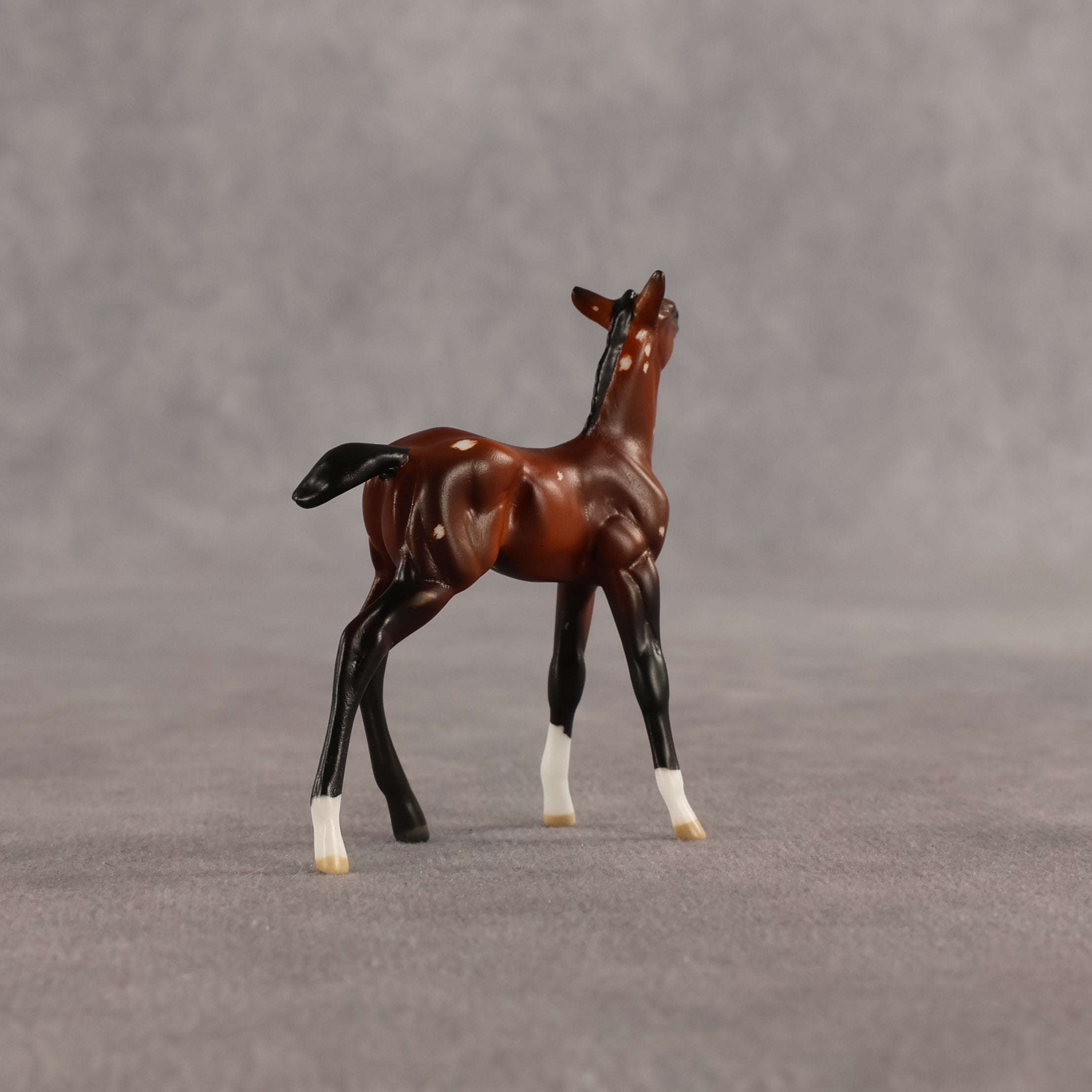 Flurry & Flake OOAK Chip FCM Stock Horse & Chip Foal by Anna Rieck SCD26