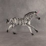 Flicker LE-5 EFCM Volo by Jess Hamill & Carissa Mathews EQ26