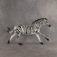 Flicker LE-5 EFCM Volo by Jess Hamill & Carissa Mathews EQ26