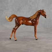 Flash Bang OOAK EFCM Chip Arabian by Tegan Davis Best Offer 9.8.2026