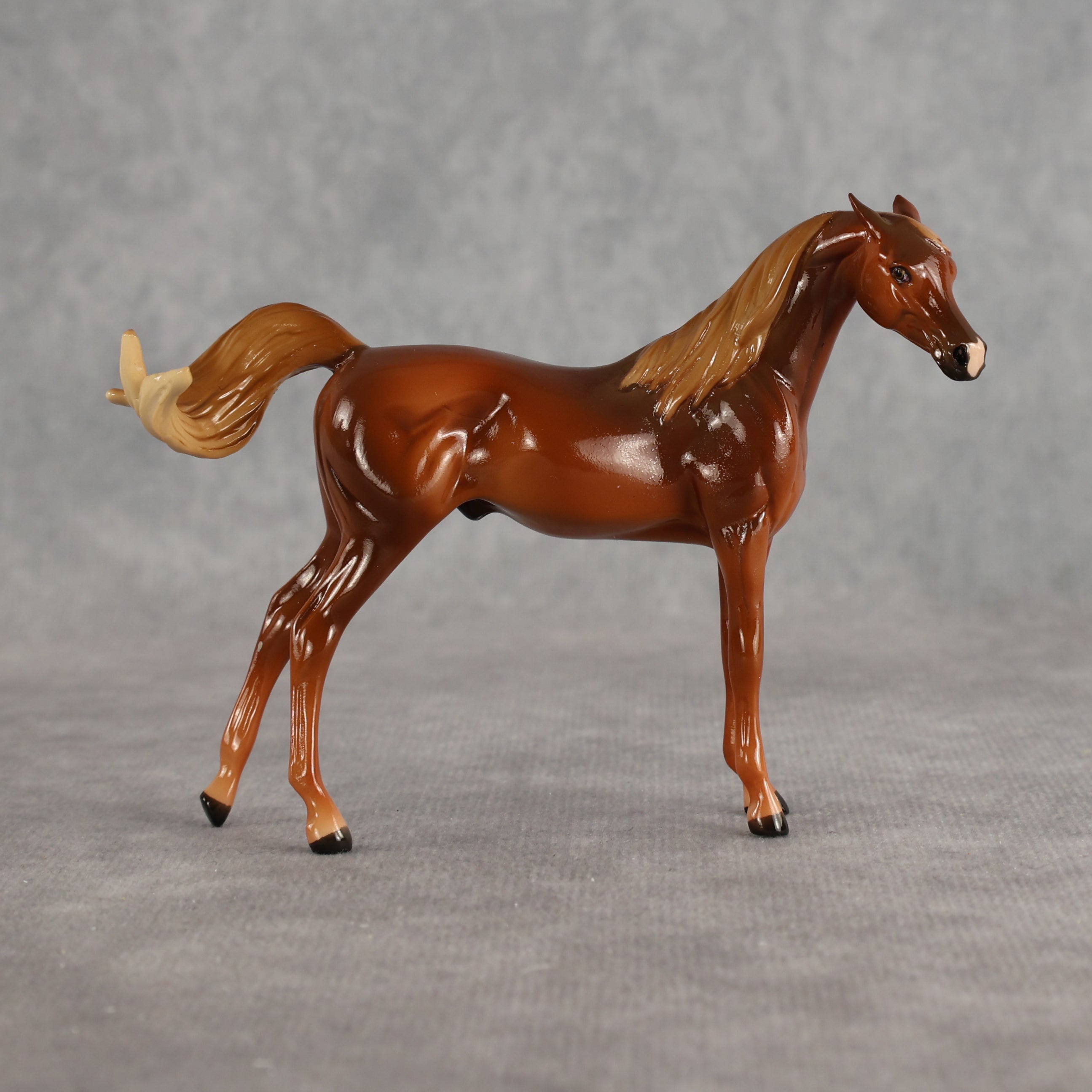 Flash Bang OOAK EFCM Chip Arabian by Tegan Davis Best Offer 9.8.2026